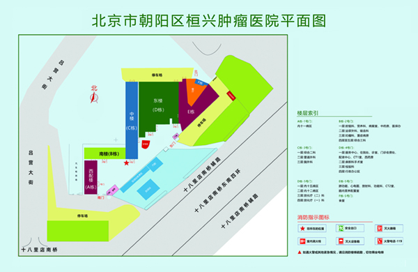 逼视频网址免费入口北京市朝阳区桓兴肿瘤医院平面图